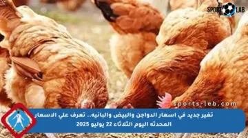 تغير جديد في أسعار الدواجن والبيض والبانية.. تعرف على الأسعار المحدثة اليوم الثلاثاء 22 يوليو 2025